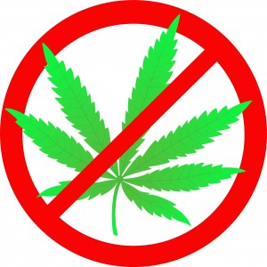 Medical Marijuana
